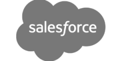 Salesforce Professional Services