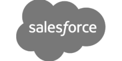 Salesforce Professional Services