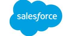 Salesforce Professional Services